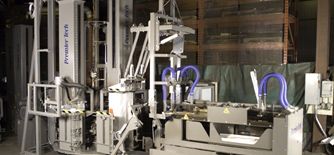 Poreklo Prosigma deževnica