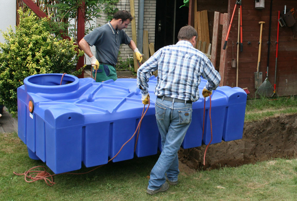 Poreklo Prosigma deževnica