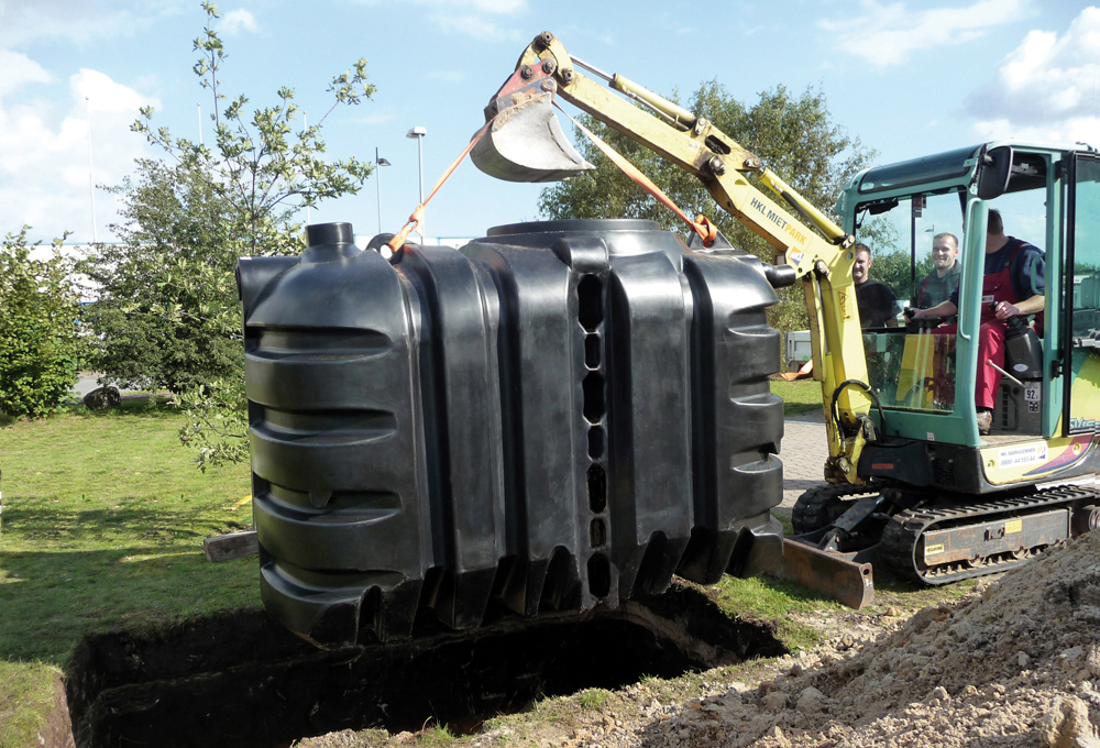 Poreklo Prosigma deževnica