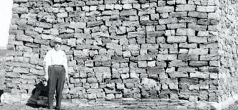 Poreklo Prosigma deževnica